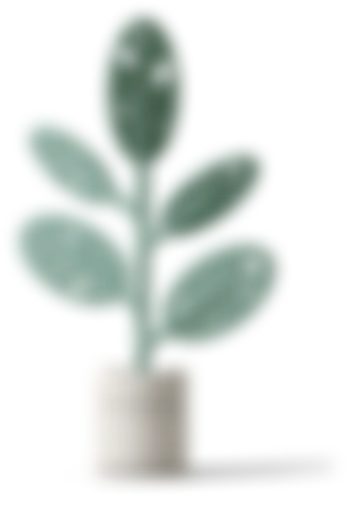 Decorative Plant